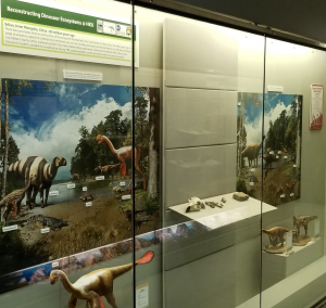 與研討會相關的短期展覽正在許士芬地質博物館作公眾展示